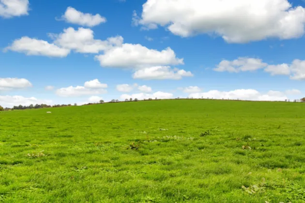 Photo of Lot 2 - Rockwell & Dogstown Farm, Approx. 219.8 Ha (543.1 Acres), Cashel, County Tipperary, E25 F886