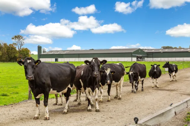 Photo of Lot 2 - Rockwell & Dogstown Farm, Approx. 219.8 Ha (543.1 Acres), Cashel, County Tipperary, E25 F886