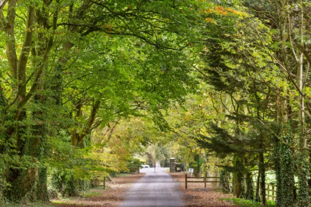 Photo of Lot 2 - Rockwell & Dogstown Farm, Approx. 219.8 Ha (543.1 Acres), Cashel, County Tipperary, E25 F886