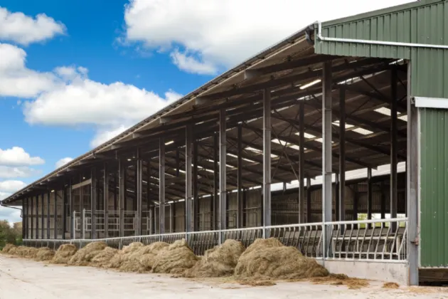 Photo of Lot 2 - Rockwell & Dogstown Farm, Approx. 219.8 Ha (543.1 Acres), Cashel, County Tipperary, E25 F886