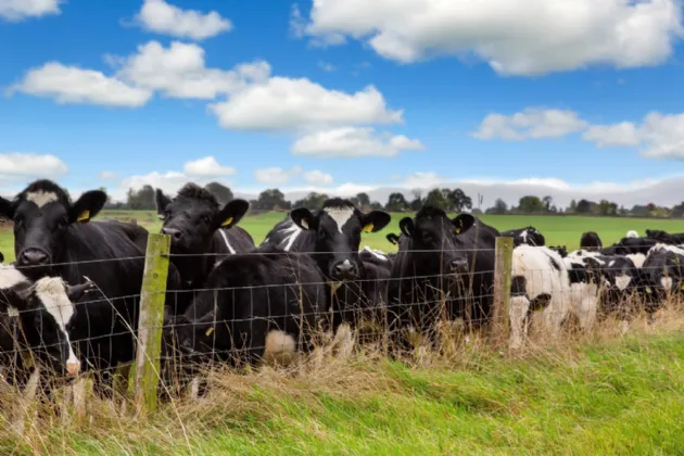 Photo of Lot 3 - Rockwell Farm (The Entire), Approx. 329.2 Ha (813.5 Acres), Cashel, County Tipperary, E25 F886