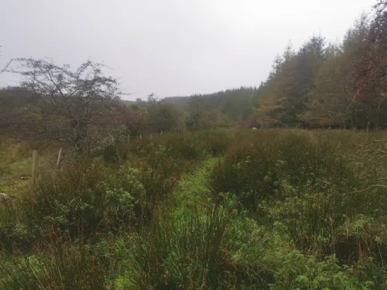 Photo of Tully, Manorhamilton, Co. Leitrim