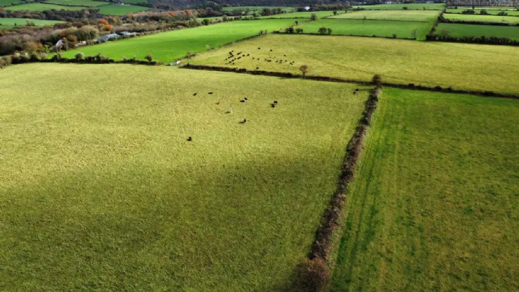 Photo of Glenville, Co. Cork, T56 YK76