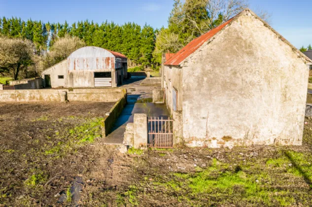 Photo of Collindale, Aghalustia, Ballaghderreen, Co. Roscommon, F45NX23