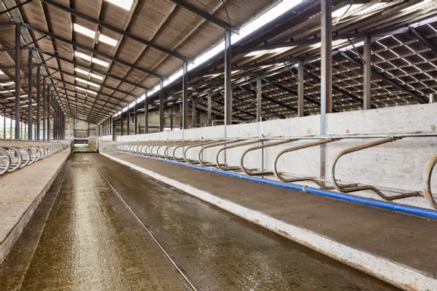 Photo of Lot 3 - Rockwell Farm (The Entire), Approx. 329.2 Ha (813.5 Acres), Cashel, County Tipperary, E25 F886