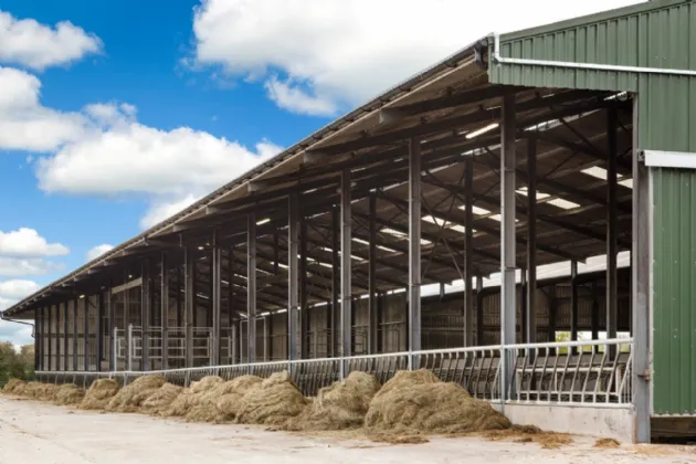 Photo of Lot 3 - Rockwell Farm (The Entire), Approx. 329.2 Ha (813.5 Acres), Cashel, County Tipperary, E25 F886