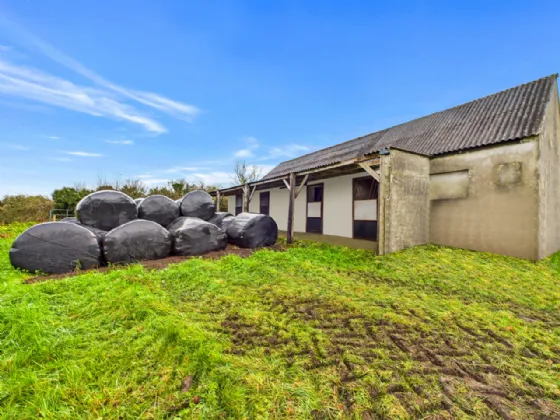 Photo of Tullycrine, Cooraclare, Kilrush, Co. Clare, V15 XD29