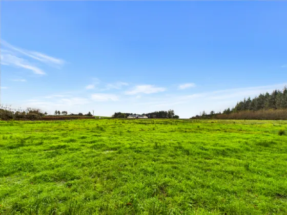 Photo of Tullycrine, Cooraclare, Kilrush, Co. Clare, V15 XD29