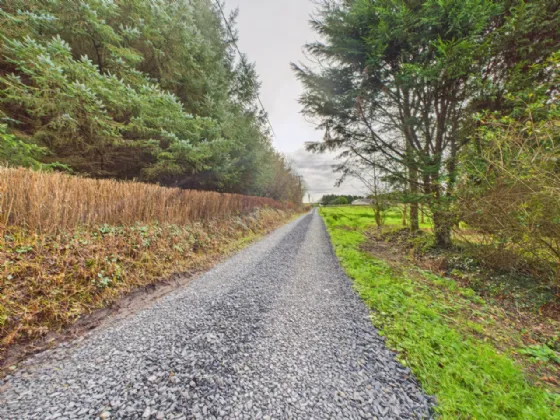 Photo of Tullycrine, Cooraclare, Kilrush, Co. Clare, V15 XD29