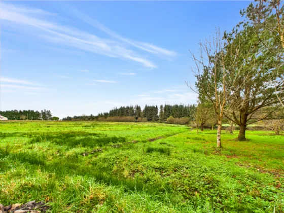 Photo of Tullycrine, Cooraclare, Kilrush, Co. Clare, V15 XD29