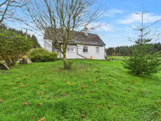 Photo of Tullycrine, Cooraclare, Kilrush, Co. Clare, V15 XD29