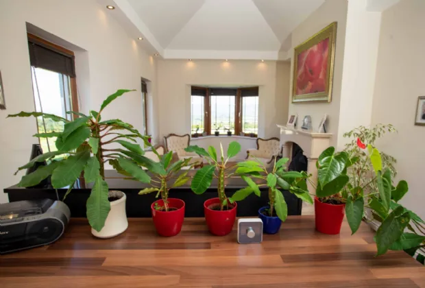 Photo of Ballindooganig, Gortbrack, Tralee, Co. Kerry, V92 F82F