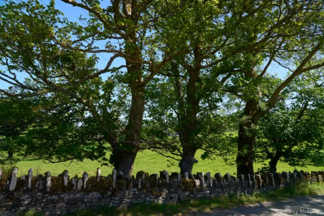 Photo of Ardeevin House, Beach, Bantry, County Cork, P75 PK20