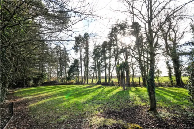 Photo of Graiguepaudeen, Urlingford, Thurles, Co. Tipperary, E41 P028