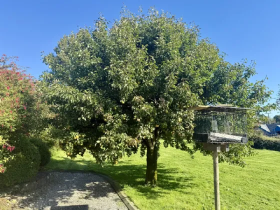 Photo of Turlough, Castlebar, Co. Mayo, F23 PY03