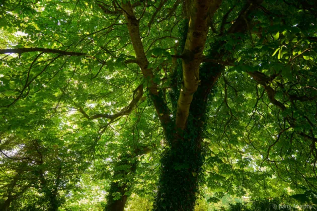 Photo of Ardeevin House, Beach, Bantry, Co. Cork, P75 PK20