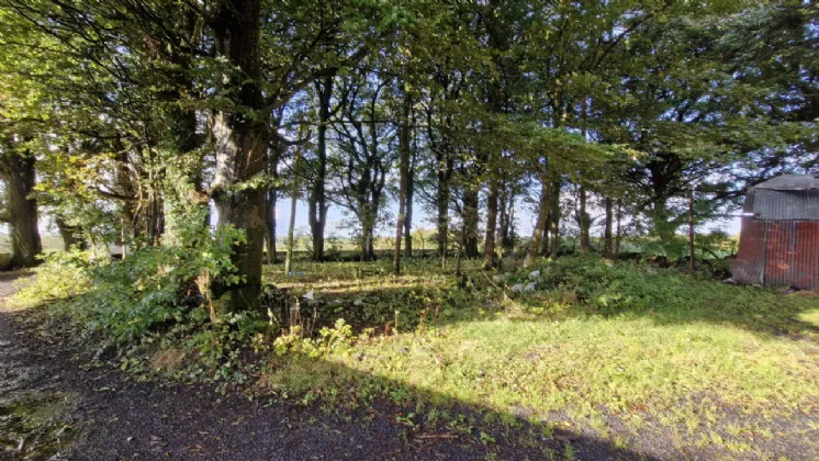 Photo of Derelict House With 1 Acre In Knocknagur, Knocknagur, Tuam, Co. Galway, H54P230