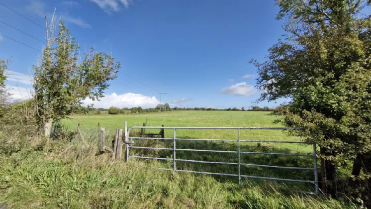Photo of 17.81 Acres Of Land In Kilcreevanty, Tuam, Co. Galway