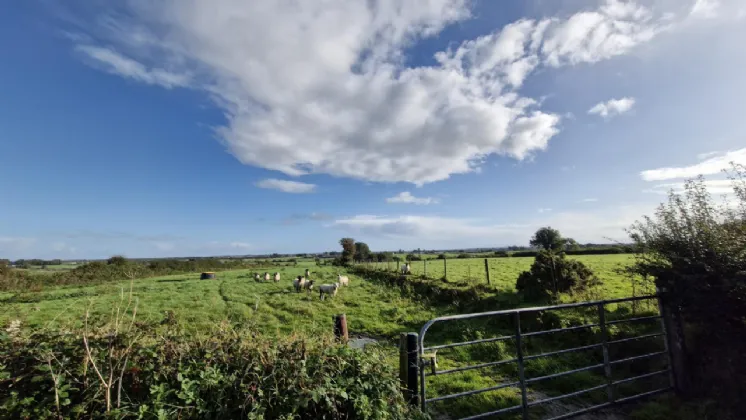 Photo of 7.7 Acres Of Land In Lehid, Lehid, Tuam, Co. Galway