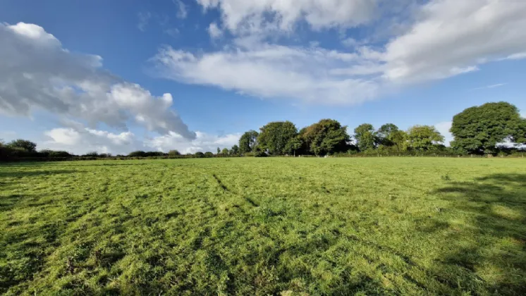 Photo of 19.23 Acres Of Land In Lehid, Lehid, Tuam, Co. Galway