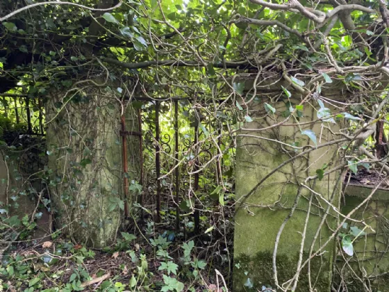 Photo of Bension, Whitehall, Castlepollard, Co. Westmeath