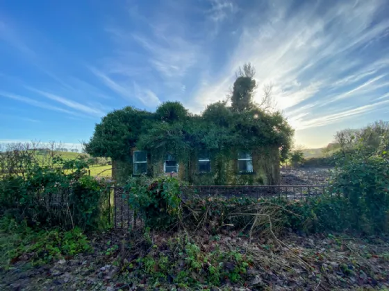 Photo of Bension, Whitehall, Castlepollard, Co. Westmeath