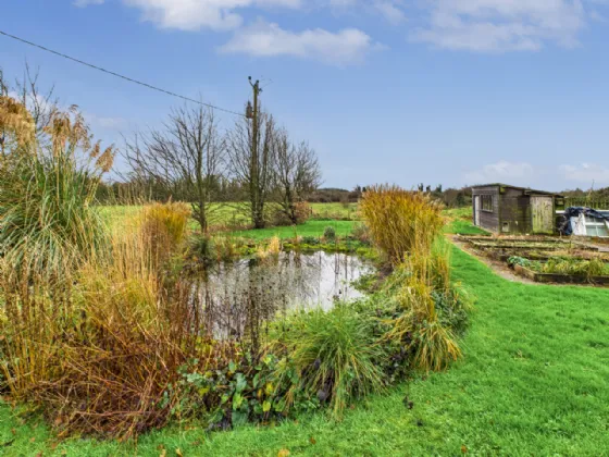 Photo of Miltown, Tulla, Co Clare, V95 X324