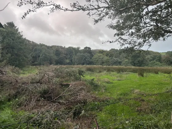 Photo of Site For Sale SPP, Tully, Louisburgh, Co Mayo