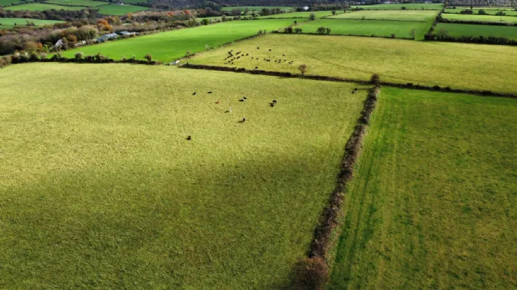 Photo of House On 3.5 Acres, Glenville, Co. Cork, T56 YK76
