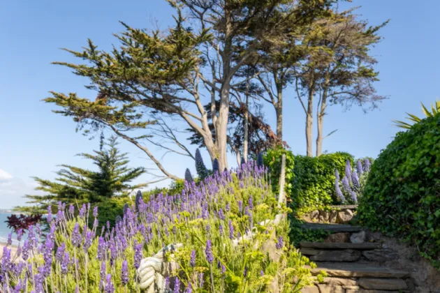 Photo of Ballynoe, 11 Claremont Road, Howth, Co Dublin, D13 CH56