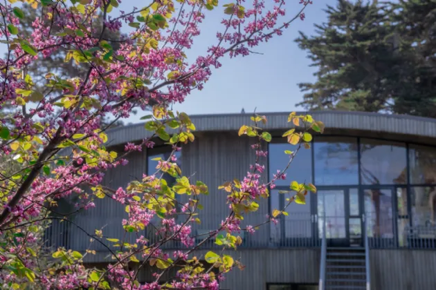 Photo of Ballynoe, 11 Claremont Road, Howth, Co Dublin, D13 CH56