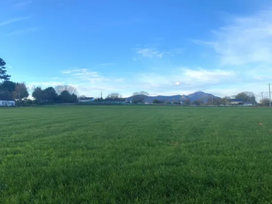 Photo of 4 Acres Grazing Lands, Templetown, Dundalk, Co. Louth