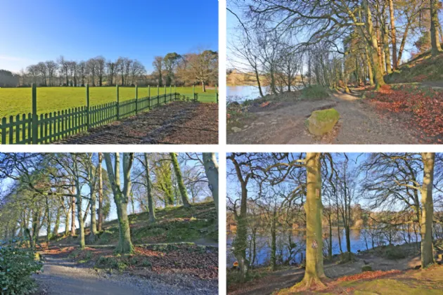 Photo of 15 Waterside Mews, Castleconnell, Co. Limerick, V94YD1V