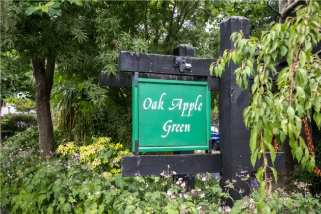 Photo of 37 Oak Apple Green, Rathgar, Dublin 6, D06 K2R7