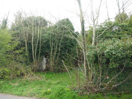 Photo of Christianstown, Collinstown, Co. Westmeath