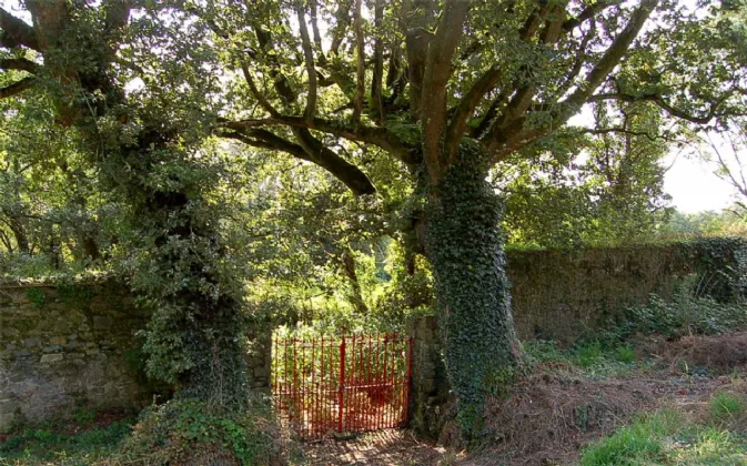 Photo of Gairdín na hAbhann, Castlehyde, Fermoy, Co Cork