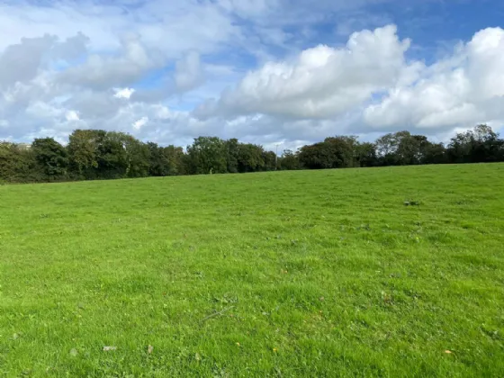 Photo of 3 Acres, Knoppogue, Aghadoe, Killarney, Co. Kerry