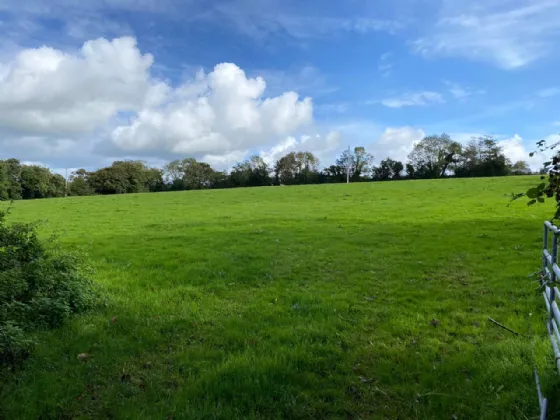 Photo of 3 Acres, Knoppogue, Aghadoe, Killarney, Co. Kerry