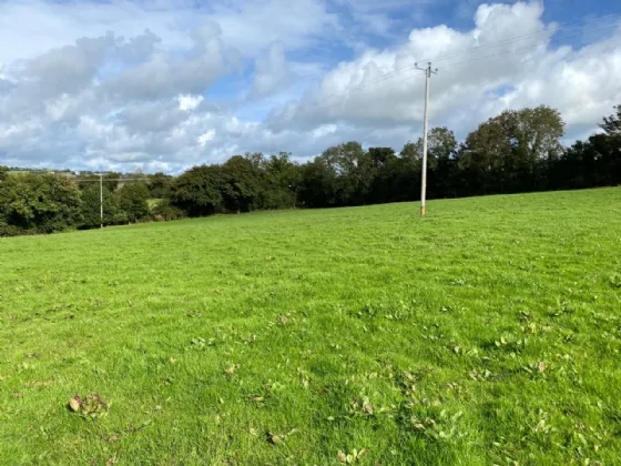 Photo of 3 Acres, Knoppogue, Aghadoe, Killarney, Co. Kerry