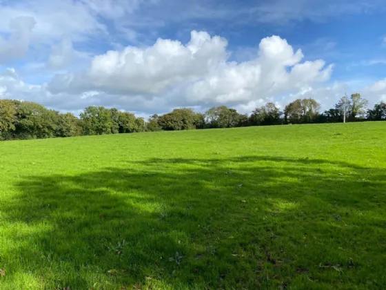 Photo of 3 Acres, Knoppogue, Aghadoe, Killarney, Co. Kerry