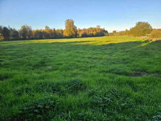 Photo of 19 Acres Land Approx, Cornacreevy, Finea, Co. Westmeath
