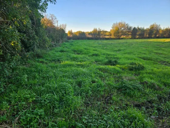 Photo of 19 Acres Land Approx, Cornacreevy, Finea, Co. Westmeath