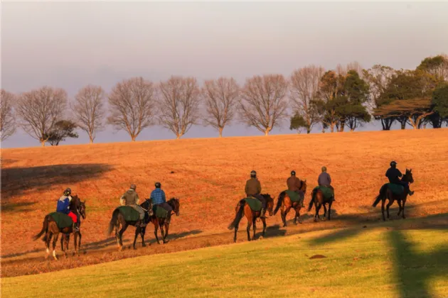 Photo of M Type - 1 Bed Maisonette, Oak Church, Kildare, Co. Kildare