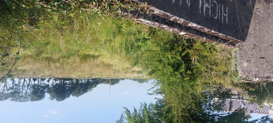 Photo of Highlake, Ballymacurley, Co. Roscommon, F42NC56