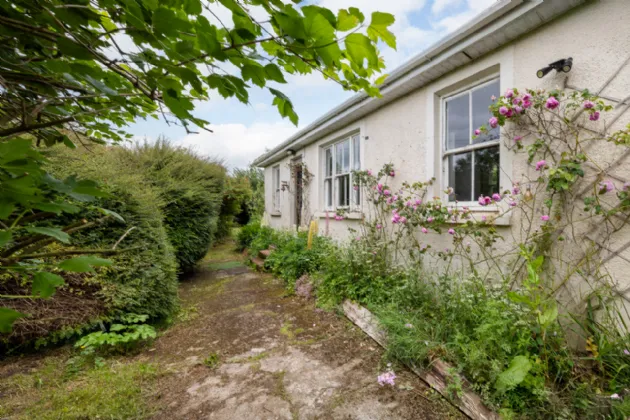 Photo of Chimney Pot, Ballinasillogue, Ballycanew, Gorey, Co. Wexford, Y25RP02