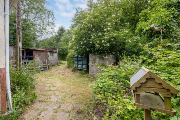 Photo of Chimney Pot, Ballinasillogue, Ballycanew, Gorey, Co. Wexford, Y25RP02