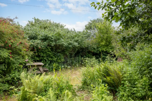 Photo of Chimney Pot, Ballinasillogue, Ballycanew, Gorey, Co. Wexford, Y25RP02