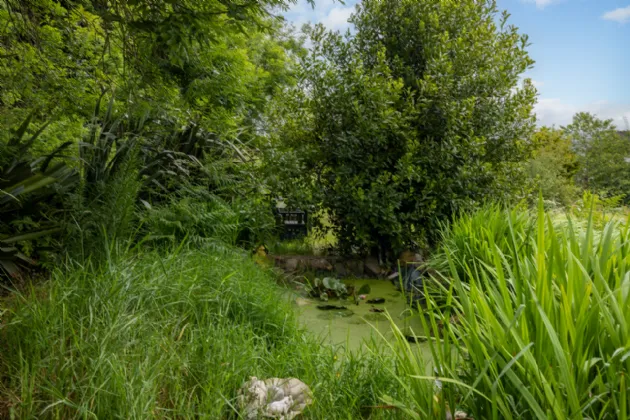 Photo of Chimney Pot, Ballinasillogue, Ballycanew, Gorey, Co. Wexford, Y25RP02