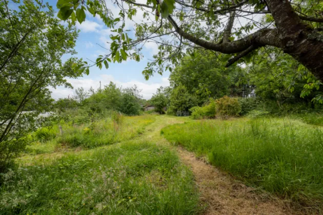 Photo of Chimney Pot, Ballinasillogue, Ballycanew, Gorey, Co. Wexford, Y25RP02