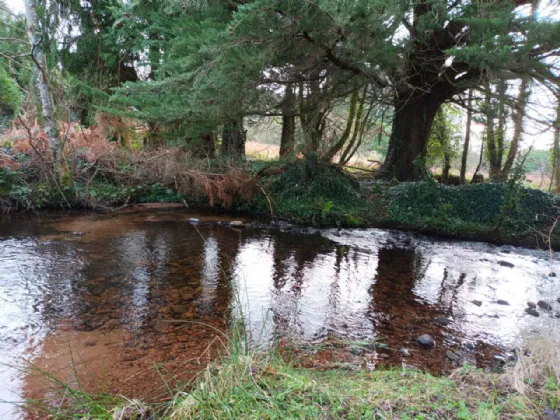 Photo of Streamhill, Doneraile, Co. Cork, P51 RP77